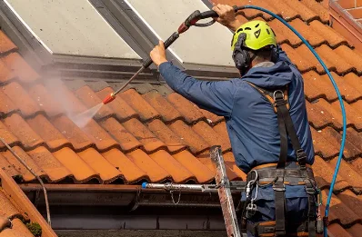 Démoussage et hydrofuge de toiture à Metzing
